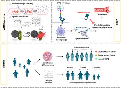 Editorial: Global excellence in pharmacology of infectious diseases: Australia and Asia